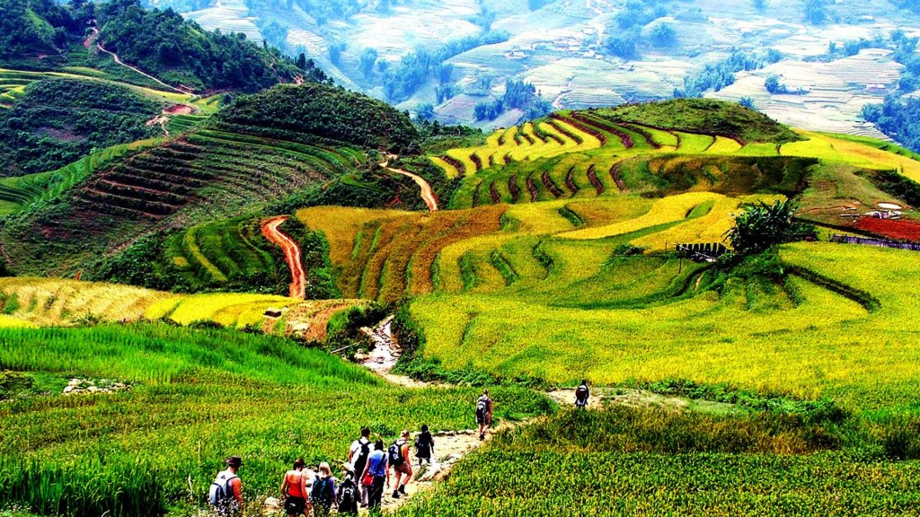 Explore the Sapa – Bac Ha Cycling Loop: A Journey Through Vietnam's Most Beautiful Roads